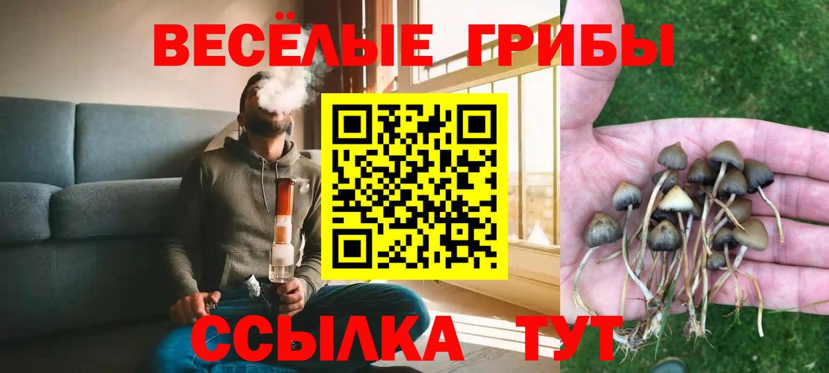 Псилоцибиновые грибы MAGIC MUSHROOMS Бузулук