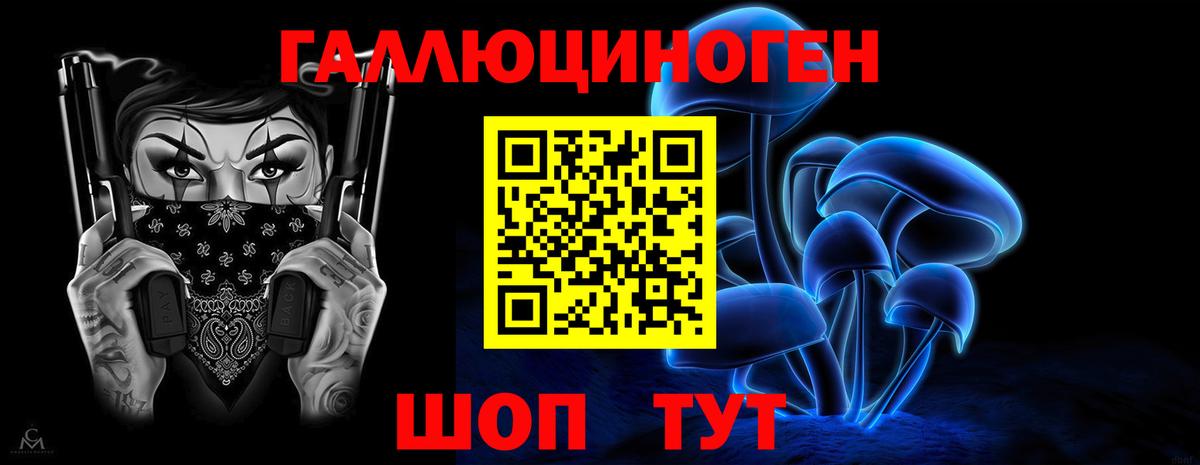 Псилоцибиновые грибы Psilocybe  Вход с VPN  Бузулук 
